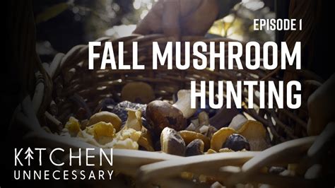 Episode 1 Fall Mushroom Hunting Youtube