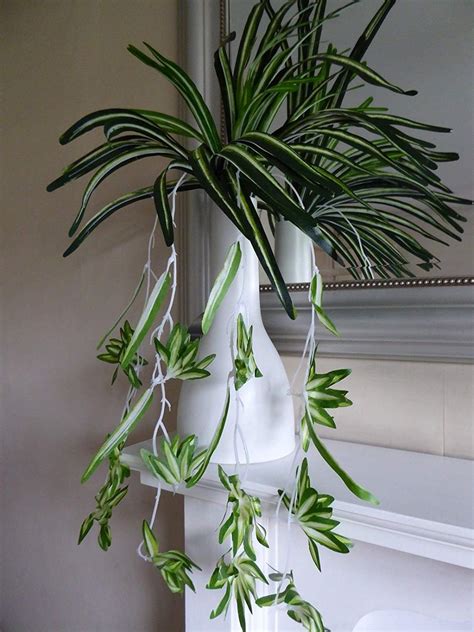 Artificial Plants 65cm Large Spider Plant Foliage Variegated Hanging