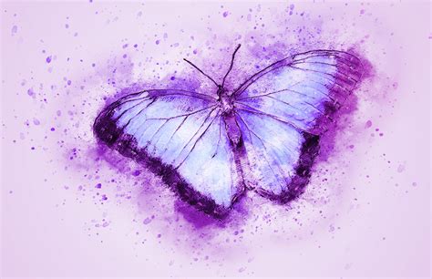 Download Insect Purple Watercolor Artistic Butterfly Hd Wallpaper