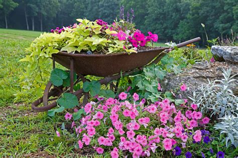 25 Wheelbarrow Planter Ideas For Your Garden Garden Lovers Club