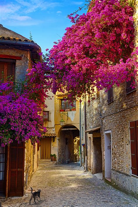 Provenza Nice France Provence Places To Travel