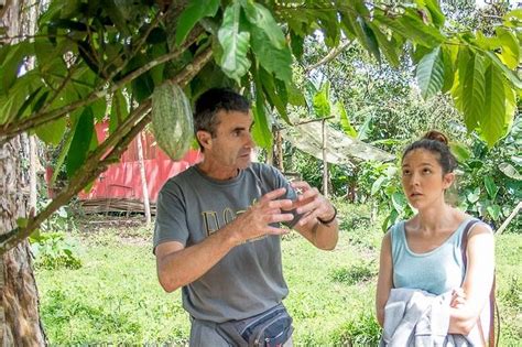 Tripadvisor Recorrido Del Chocolate En Mindo Ofrecido Por El Quetzal De Mindo Ecuador