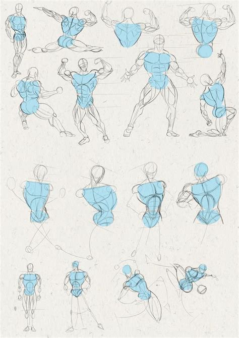 Male Anatomy Practice By Juggertha On Deviantart Figure Drawing