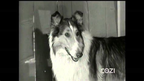 Lassie Episode 347 Lassie And The Piglets Season 10 Ep 24