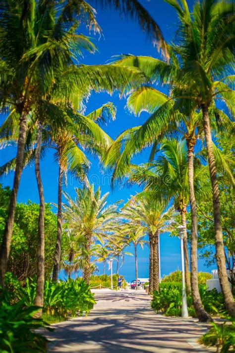 Walkway To Famous South Beach Miami Beach Florida Stock Image Image