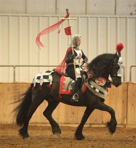 The Best Medieval Costumes Horse Costumes Horse Halloween Costumes