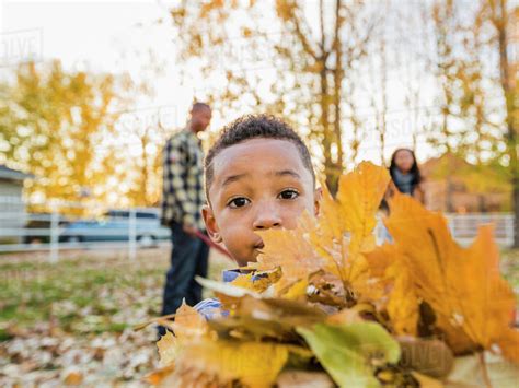 Black Boy Holding Bundle Of Autumn Leaves Stock Photo Dissolve