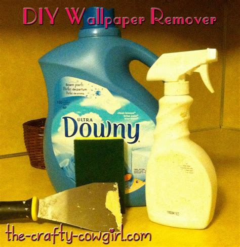 Homemade Wallpaper Remover Lodge State