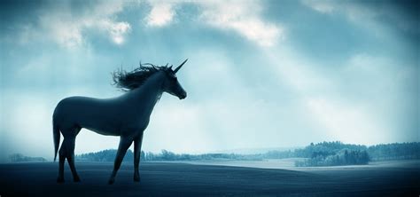 Home >> i am a unicorn. Inner Unicorn | Denver Pain and Performance Solutions