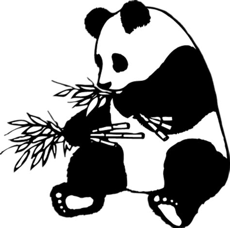 Download High Quality Panda Clipart Giant Transparent Png Images Art