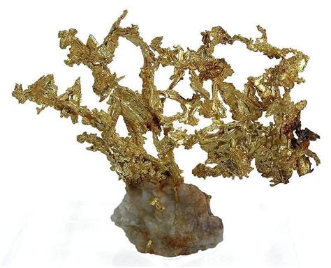 Golden Tree An Incredible Specimen Of Gold On Quartz From
