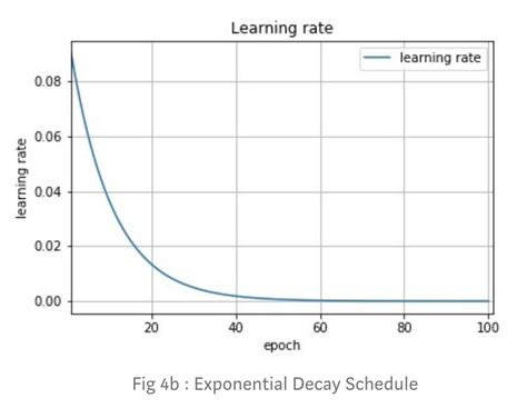 Exponential Decay Explained Papers With Code