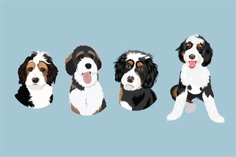 Bernedoodle Clip Art Dog Breed Editable Vector Pack Etsy