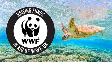 Advante Wwf Make A Difference With Every Hire Charity Of The Year