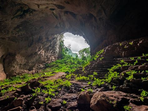 Jungle Boss Trekking Tour Day Tours Phong Nha Ke Bang National Park