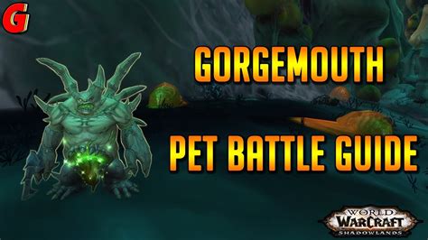 Gorgemouth Pet Battle Guide Shadowlands YouTube