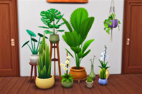Sims 4 Plant Cc Pack Hot Sex Picture