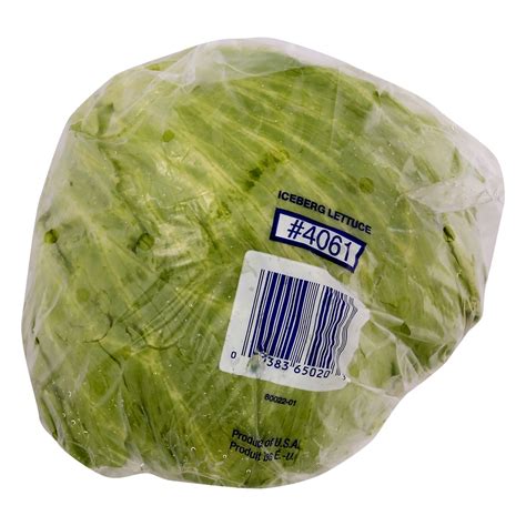 Where To Buy Iceberg Lettuce
