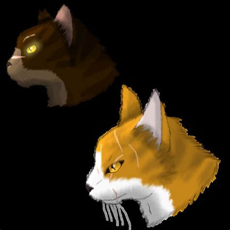 Tigerstar And Mapleshade Warrior Cats Pinterest