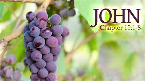 The Vine And The Branches John 151 8 Redeeming God