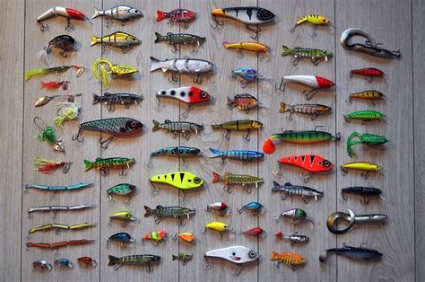 Fishing Lure Color Selection A Detailed Guide The Adventourist