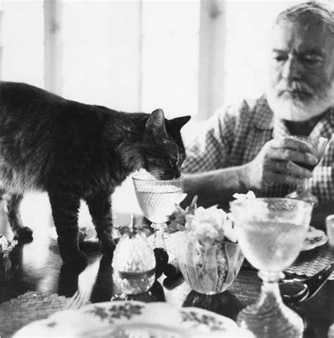 Interesting Vintage Photos Of Ernest Hemingway With His Beloved Cats