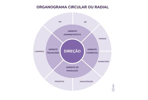 Modelo De Organograma Radial Omg My Xxx Hot Girl