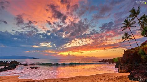 Waves Aloha State Hawaje Great Sunsets Clouds Palms Sea For