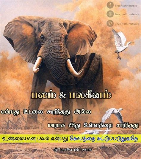 Tamil Quran Aayat By True Path Network Tamil Motivational Quotes