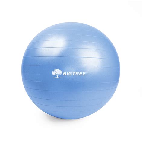 34 Thickest Exercise Ball Images Neck Exercise With Ball