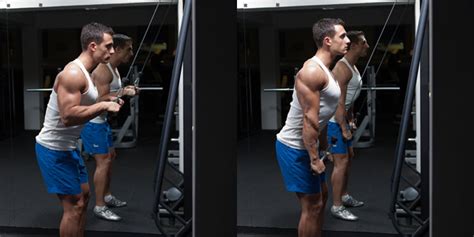 Triceps Cable Pushdown Weight Training Exercises 4 You