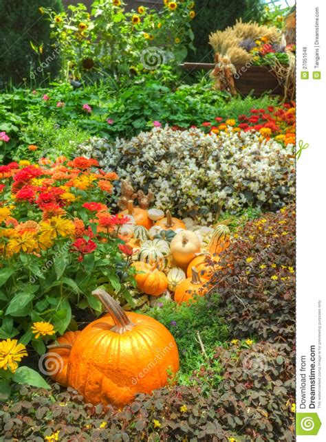 A Bountiful Autumn Harvest Royalty Free Stock Photos