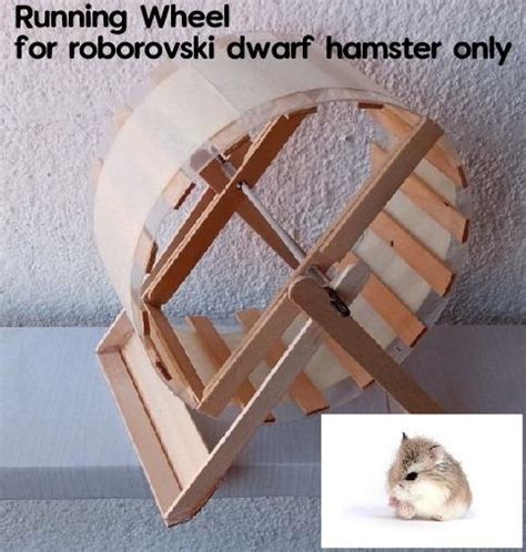 Hamster Wheel Cm For Roborovski Dwarf Hamster Pet Supplies Homes Other Pet Accessories On