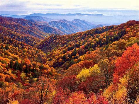 Autumn In The Blue Ridge Mountains Unknown Photographer 1024x768