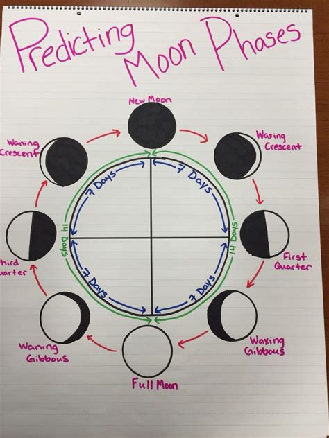 Moon Phases Worksheet 5th Grade Anchor Charts Middle School Science