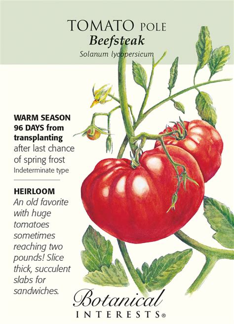 Beefsteak Pole Tomato 25 Seeds Certified Organic Hirts Gardens