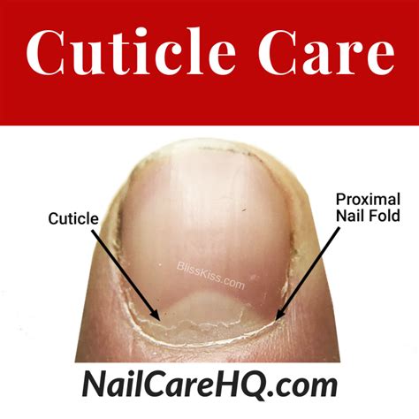 The Cuticle Should You Clip Push Or Scrape Nailcarehq