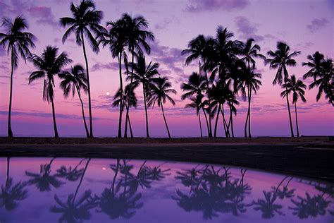 Free Download Purple Images Purple Sunsets Hd Wallpaper And Background