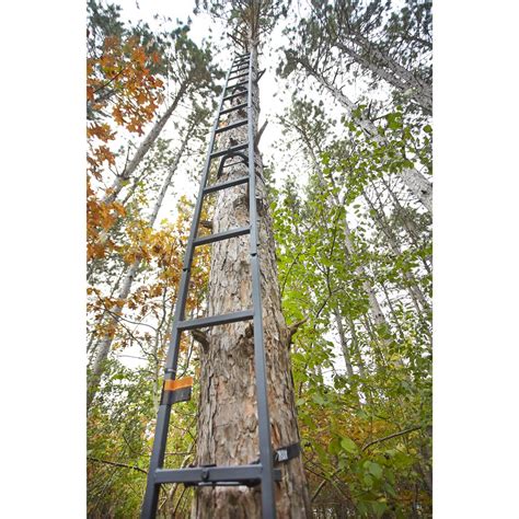 Guide Gear 20 Tree Ladder 177434 Climbing Sticks And Tree Steps At