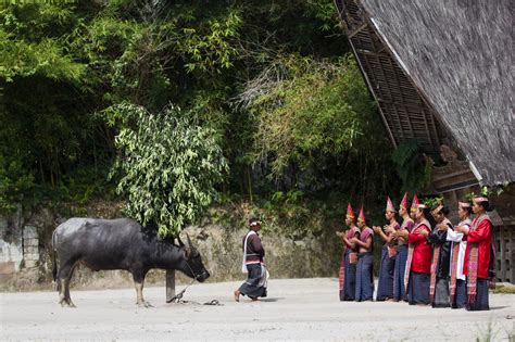 Indonesia Sumatra Batak Tribe Life And Travel Documentary