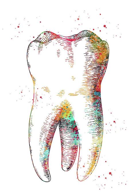 Human Tooth Digital Art Human Tooth By Erzebet S Dental Wall Art