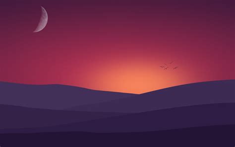 2560x1600 Birds Flying Towards Sunset Landscape Minimalist 4k 2560x1600