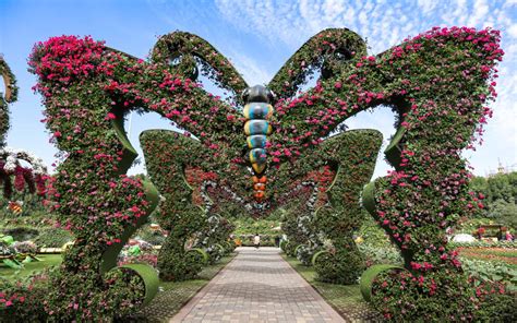 A Guide To Dubai Butterfly Garden Attractions Tickets And More Mybayut