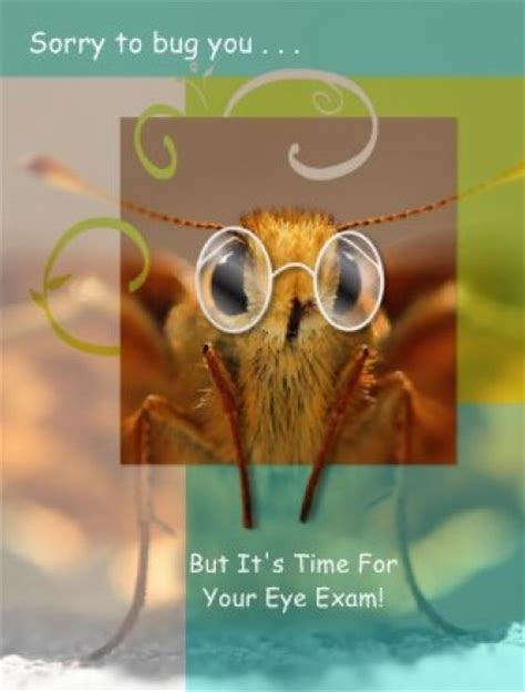 Sorry To Bug You Opto Cards Pinterest