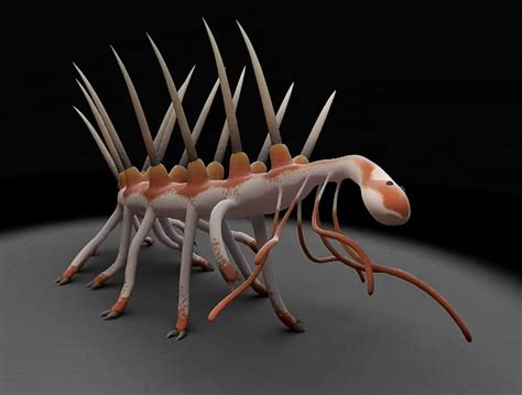 Hallucigenia Is The Adorable New Face Of Your Nightmares