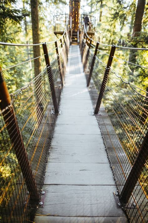 Magical Treehouse Bridge Relaxing Weekend Getaways Visit Vancouver