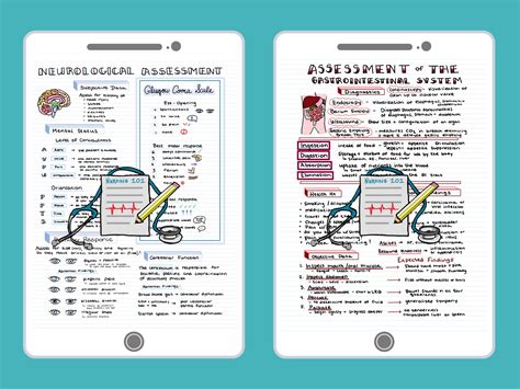 Health Assessment Bundle Nursing School Notes To Help Pass Etsy