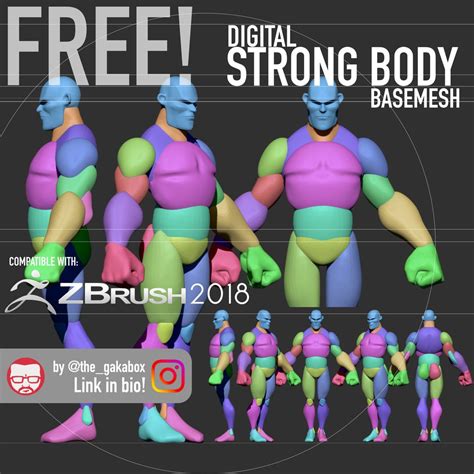 Stylized Strong Body Base Mesh Zbrush Character Zbrush Anatomy