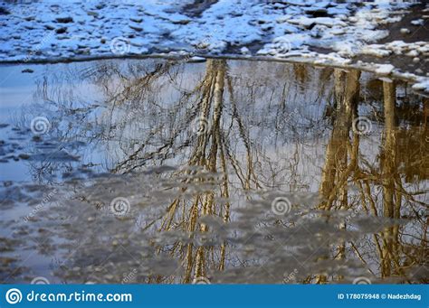 Photoproject Spring Puddles A Series Of Photographs A Puddle On A