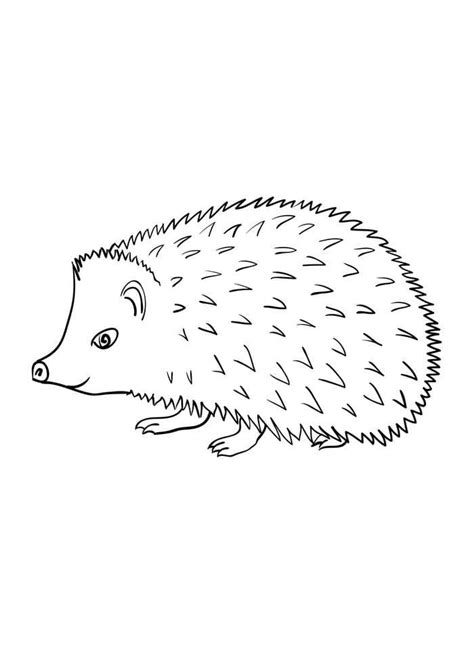 Coloring Pages Hedgehog For Kids 150 Pieces Print A4